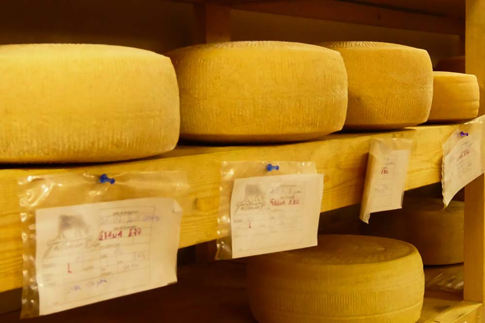 Hard Cheese